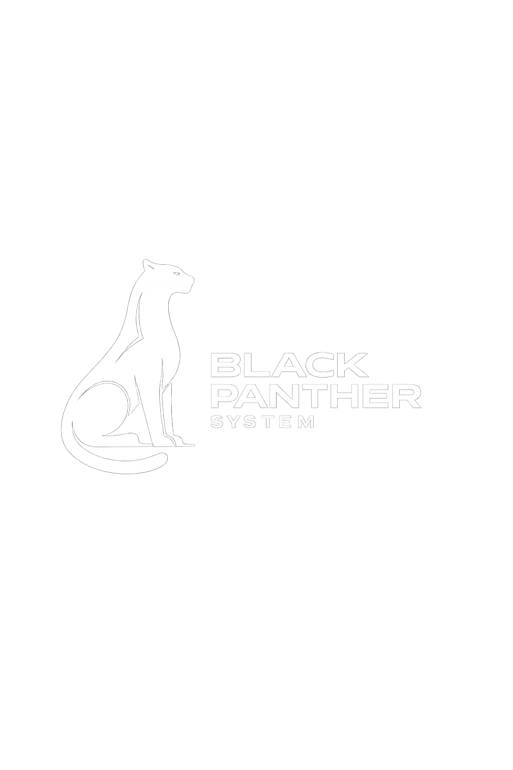Black Panther System